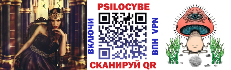 купить  цена  кракен ТОР  Псилоцибиновые грибы Psilocybe  Пересвет 